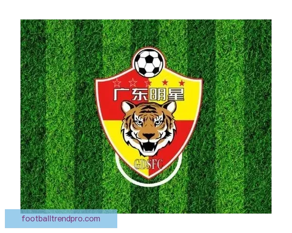 广东超级联赛球队一览及其发展历程探析